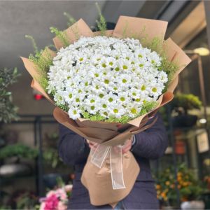 Antalya Florist - Daisy & Gerbera