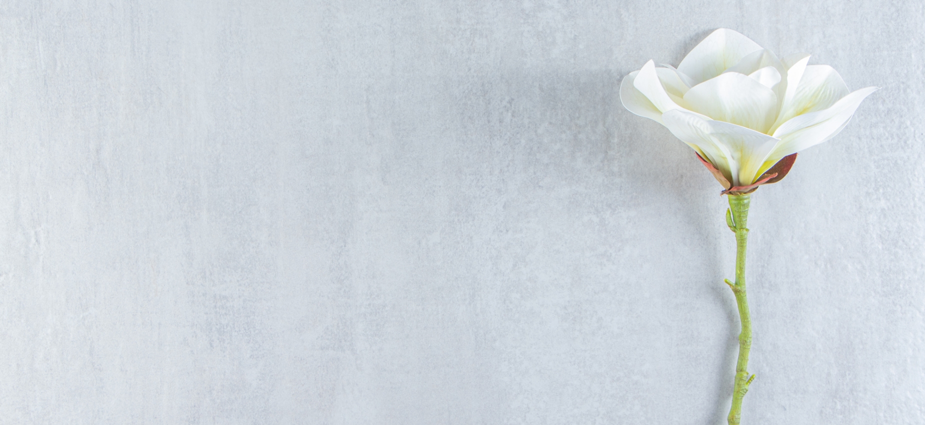 Antalya Çiçek Siparişi