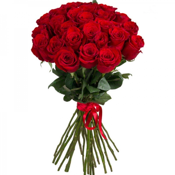  Antalya Çiçek Gönder - 15 Adet Kırmızı gül