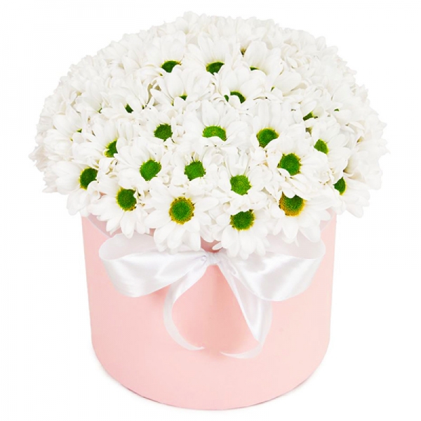  Antalya Çiçek - Hava öpücüğü