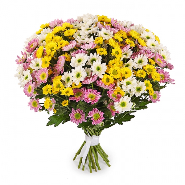 Antalya Çiçekçi - 31 Adet Papatya