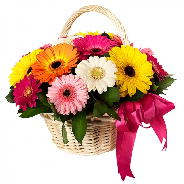  Antalya Çiçekçiler - Parlak renkler