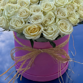  Antalya Çiçek Gönder Pembe Kutuda 51 Adet Beyaz Hollanda Güller