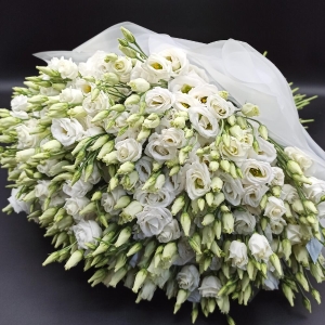  Antalya Çiçek Gönder - 51 Dal Lisyantus Buketi