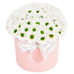  Antalya Çiçekçiler - Parlak renkler