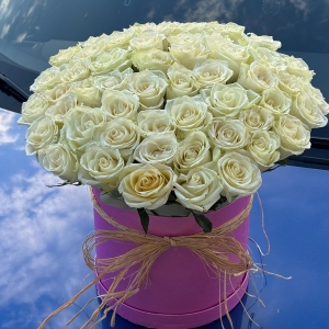  Antalya Çiçek Gönder - Pembe Kutuda 51 Adet Beyaz Hollanda Güller